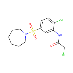 O=C(CCl)Nc1cc(S(=O)(=O)N2CCCCCC2)ccc1Cl ZINC000003885256