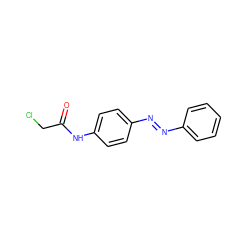 O=C(CCl)Nc1ccc(N=Nc2ccccc2)cc1 ZINC000254349750