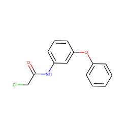 O=C(CCl)Nc1cccc(Oc2ccccc2)c1 ZINC000003281077