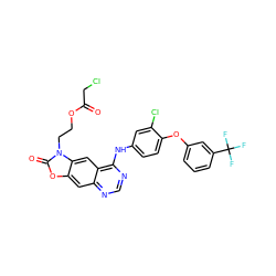 O=C(CCl)OCCn1c(=O)oc2cc3ncnc(Nc4ccc(Oc5cccc(C(F)(F)F)c5)c(Cl)c4)c3cc21 ZINC001772584114