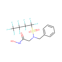 O=C(CN(Cc1ccccc1)S(=O)(=O)C(F)(F)C(F)(F)C(F)(F)C(F)(F)F)NO ZINC000010450278