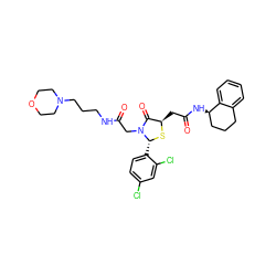 O=C(CN1C(=O)[C@@H](CC(=O)N[C@@H]2CCCc3ccccc32)S[C@@H]1c1ccc(Cl)cc1Cl)NCCCN1CCOCC1 ZINC000029389129