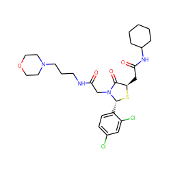 O=C(CN1C(=O)[C@@H](CC(=O)NC2CCCCC2)S[C@@H]1c1ccc(Cl)cc1Cl)NCCCN1CCOCC1 ZINC000029344236