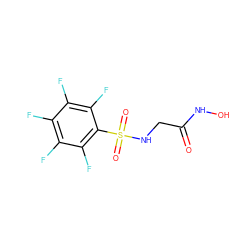 O=C(CNS(=O)(=O)c1c(F)c(F)c(F)c(F)c1F)NO ZINC000010450329