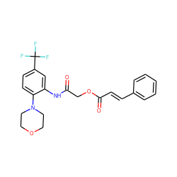 O=C(COC(=O)/C=C/c1ccccc1)Nc1cc(C(F)(F)F)ccc1N1CCOCC1 ZINC000003249822