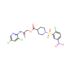 O=C(COC(=O)C1CCN(S(=O)(=O)c2cc([N+](=O)[O-])ccc2Cl)CC1)Nc1ncc(Cl)cc1Cl ZINC000008672554