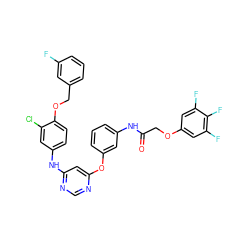 O=C(COc1cc(F)c(F)c(F)c1)Nc1cccc(Oc2cc(Nc3ccc(OCc4cccc(F)c4)c(Cl)c3)ncn2)c1 ZINC000082152612