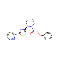 O=C(COc1ccccc1)N1CCCC[C@@H]1c1csc(-c2ccccn2)n1 ZINC000118599749