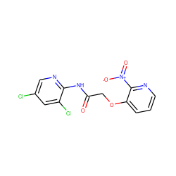 O=C(COc1cccnc1[N+](=O)[O-])Nc1ncc(Cl)cc1Cl ZINC000007550328