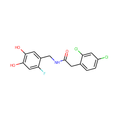 O=C(Cc1ccc(Cl)cc1Cl)NCc1cc(O)c(O)cc1F ZINC000473249614