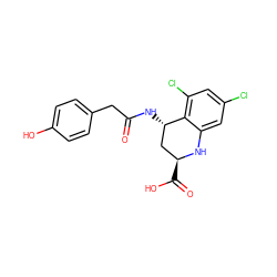 O=C(Cc1ccc(O)cc1)N[C@H]1C[C@H](C(=O)O)Nc2cc(Cl)cc(Cl)c21 ZINC000013455274