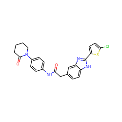 O=C(Cc1ccc2[nH]c(-c3ccc(Cl)s3)nc2c1)Nc1ccc(N2CCCCC2=O)cc1 ZINC000027212087