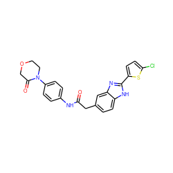 O=C(Cc1ccc2[nH]c(-c3ccc(Cl)s3)nc2c1)Nc1ccc(N2CCOCC2=O)cc1 ZINC000003820010