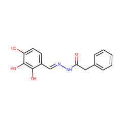 O=C(Cc1ccccc1)N/N=C/c1ccc(O)c(O)c1O ZINC001772618143