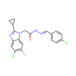 O=C(Cn1c(C2CC2)nc2cc(Cl)c(Cl)cc21)N/N=C/c1ccc(Cl)cc1 ZINC001772651214