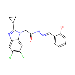 O=C(Cn1c(C2CC2)nc2cc(Cl)c(Cl)cc21)N/N=C/c1ccccc1O ZINC001772626581