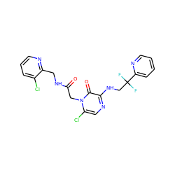 O=C(Cn1c(Cl)cnc(NCC(F)(F)c2ccccn2)c1=O)NCc1ncccc1Cl ZINC000013493149