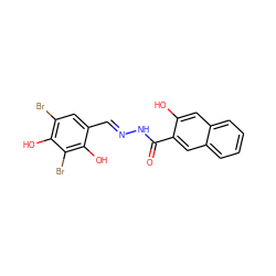 O=C(N/N=C/c1cc(Br)c(O)c(Br)c1O)c1cc2ccccc2cc1O ZINC000008843010