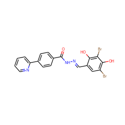 O=C(N/N=C/c1cc(Br)c(O)c(Br)c1O)c1ccc(-c2ccccn2)cc1 ZINC000095588787