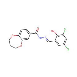 O=C(N/N=C/c1cc(Cl)cc(Cl)c1O)c1ccc2c(c1)OCCCO2 ZINC001772647369