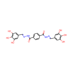 O=C(N/N=C/c1cc(O)c(O)c(O)c1)c1ccc(C(=O)N/N=C/c2cc(O)c(O)c(O)c2)cc1 ZINC000299825474