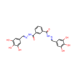 O=C(N/N=C/c1cc(O)c(O)c(O)c1)c1cccc(C(=O)N/N=C/c2cc(O)c(O)c(O)c2)c1 ZINC000299829061