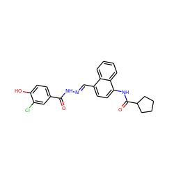 O=C(N/N=C/c1ccc(NC(=O)C2CCCC2)c2ccccc12)c1ccc(O)c(Cl)c1 ZINC000013492719