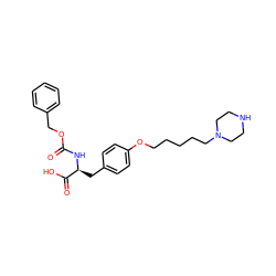 O=C(N[C@@H](Cc1ccc(OCCCCCN2CCNCC2)cc1)C(=O)O)OCc1ccccc1 ZINC000022444167