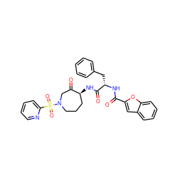 O=C(N[C@@H](Cc1ccccc1)C(=O)N[C@H]1CCCN(S(=O)(=O)c2ccccn2)CC1=O)c1cc2ccccc2o1 ZINC000028525822