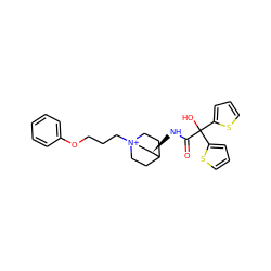 O=C(N[C@@H]1C[N+]2(CCCOc3ccccc3)CCC1CC2)C(O)(c1cccs1)c1cccs1 ZINC000013975415