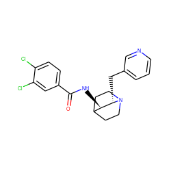 O=C(N[C@@H]1C2CCN(CC2)[C@H]1Cc1cccnc1)c1ccc(Cl)c(Cl)c1 ZINC000095578767