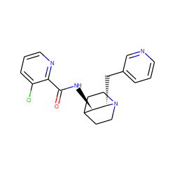 O=C(N[C@@H]1C2CCN(CC2)[C@H]1Cc1cccnc1)c1ncccc1Cl ZINC000095580223