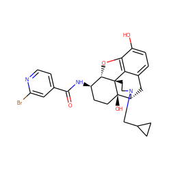 O=C(N[C@@H]1CC[C@@]2(O)[C@H]3Cc4ccc(O)c5c4[C@@]2(CCN3CC2CC2)[C@H]1O5)c1ccnc(Br)c1 ZINC000072105065