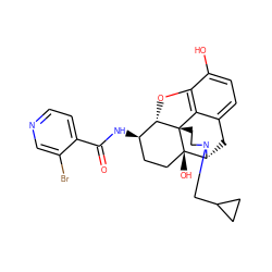 O=C(N[C@@H]1CC[C@@]2(O)[C@H]3Cc4ccc(O)c5c4[C@@]2(CCN3CC2CC2)[C@H]1O5)c1ccncc1Br ZINC000072105221