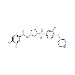 O=C(N[C@@H]1CCN(S(=O)(=O)c2ccc(OC3CCNCC3)c(Br)c2)C1)c1ccc(Cl)c(Cl)c1 ZINC000049867738