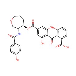 O=C(N[C@@H]1COCCC[C@H]1OC(=O)c1cc(O)c(C(=O)c2c(O)cccc2C(=O)O)c(O)c1)c1ccc(O)cc1 ZINC000026402763