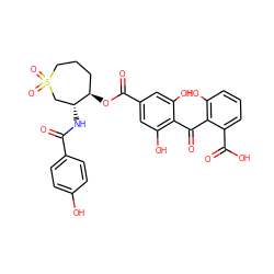 O=C(N[C@@H]1CS(=O)(=O)CCC[C@H]1OC(=O)c1cc(O)c(C(=O)c2c(O)cccc2C(=O)O)c(O)c1)c1ccc(O)cc1 ZINC000026401588