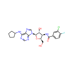 O=C(N[C@H]1[C@@H](CO)O[C@@H](n2cnc3c(NC4CCCC4)ncnc32)[C@@H]1O)c1ccc(F)c(Cl)c1 ZINC000013473186