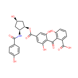 O=C(N[C@H]1C[C@@H](O)C[C@H]1OC(=O)c1cc(O)c(C(=O)c2c(O)cccc2C(=O)O)c(O)c1)c1ccc(O)cc1 ZINC000026269486
