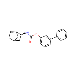 O=C(N[C@H]1C[C@H]2CC[C@H]1C2)Oc1cccc(-c2ccccc2)c1 ZINC000253664865