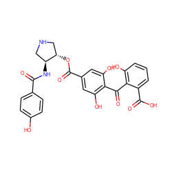 O=C(N[C@H]1CNC[C@@H]1OC(=O)c1cc(O)c(C(=O)c2c(O)cccc2C(=O)O)c(O)c1)c1ccc(O)cc1 ZINC000026295830