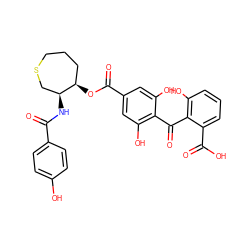 O=C(N[C@H]1CSCCC[C@H]1OC(=O)c1cc(O)c(C(=O)c2c(O)cccc2C(=O)O)c(O)c1)c1ccc(O)cc1 ZINC000026253866