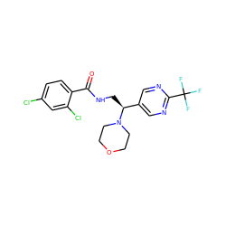 O=C(NC[C@@H](c1cnc(C(F)(F)F)nc1)N1CCOCC1)c1ccc(Cl)cc1Cl ZINC000217087185