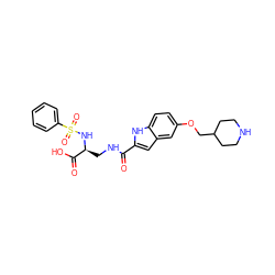 O=C(NC[C@H](NS(=O)(=O)c1ccccc1)C(=O)O)c1cc2cc(OCC3CCNCC3)ccc2[nH]1 ZINC000003952133