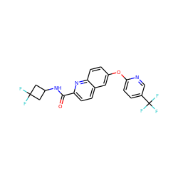 O=C(NC1CC(F)(F)C1)c1ccc2cc(Oc3ccc(C(F)(F)F)cn3)ccc2n1 ZINC001772605137