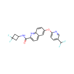 O=C(NC1CC(F)(F)C1)c1ccc2cc(Oc3ccc(C(F)F)cn3)ccc2n1 ZINC001772621257