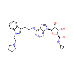 O=C(NC1CC1)[C@H]1O[C@@H](n2cnc3c(NCCc4cn(CCN5CCCC5)c5ccccc45)ncnc32)[C@H](O)[C@@H]1O ZINC000012405747