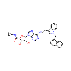 O=C(NC1CC1)[C@H]1O[C@@H](n2cnc3c(NCCc4cn(Cc5cccc6ccccc56)c5ccccc45)ncnc32)[C@H](O)[C@@H]1O ZINC000012405751