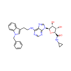 O=C(NC1CC1)[C@H]1O[C@@H](n2cnc3c(NCCc4cn(Cc5ccccc5)c5ccccc45)ncnc32)[C@H](O)[C@@H]1O ZINC000012405766