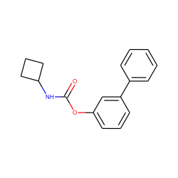 O=C(NC1CCC1)Oc1cccc(-c2ccccc2)c1 ZINC000040835141